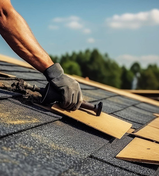 toiture La Roche-sur-Yon